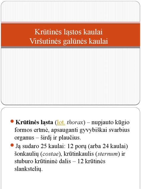 Žmogaus krūtinės ląstos schema