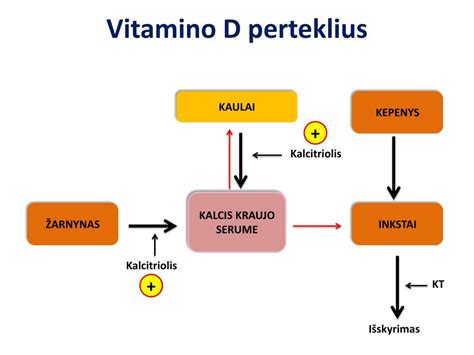 Vitamino D svarba nėštumo metu