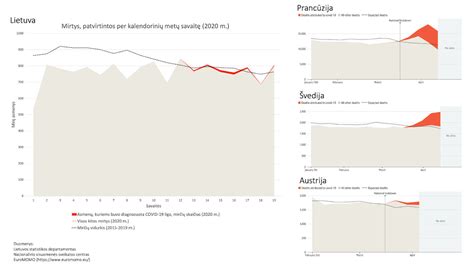 Statistika apie mirčių priežastis gimdymo metu Lietuvoje