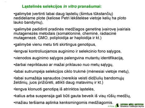 Bambukinio įdėklo pranašumai