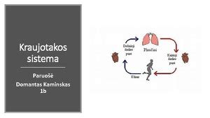 schematinis kraujo krešėjimo procesas