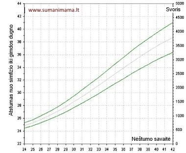 gimdos dugno aukščio kreivė