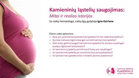Kamieninių ląstelių tipai ir panaudojimas