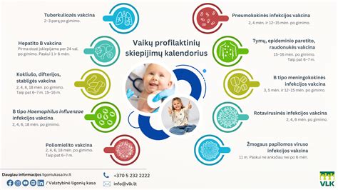 Vaikų amžiaus rekomendacijos būreliams infografikas