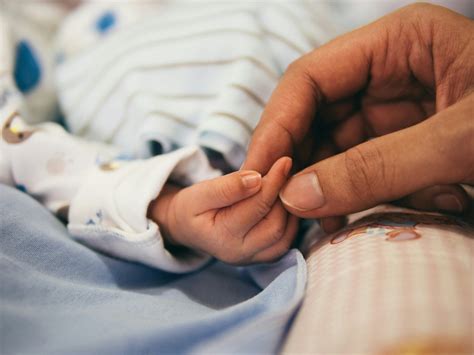 Hormonų poveikis plaukų gyvavimo ciklui nėštumo metu ir po gimdymo