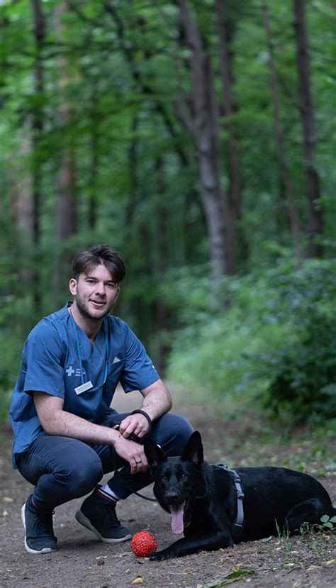 Veterinarijos gydytojai, teikiantys pagalbą sužeistam laukiniam gyvūnui centre