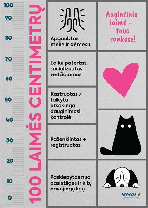 Infografikas apie gyvūnų pažeidimų skaičiaus augimą
