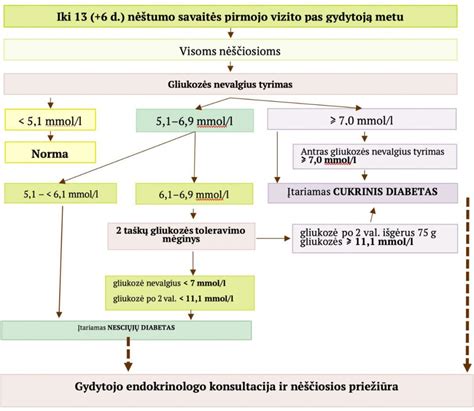 Kalės nėštumo eigos schema
