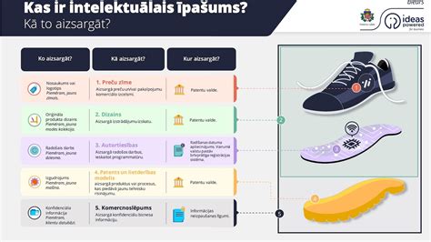 Patikrinimų rūšių infografikas