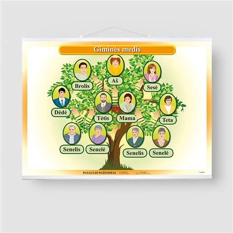giminės medis
