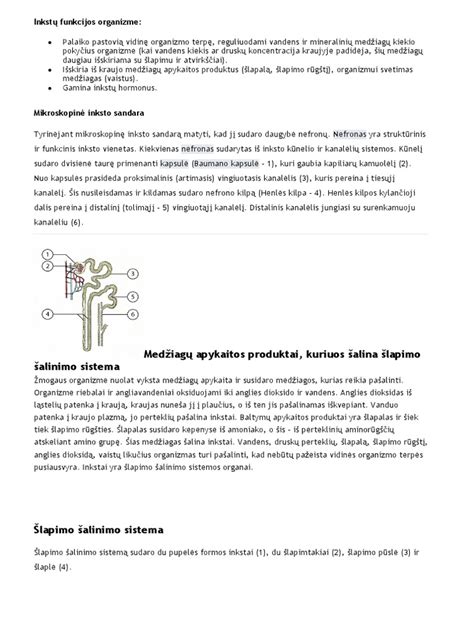 Inkstų funkcijos schema