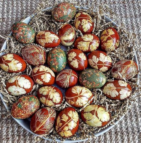 Kiaušinių ženklinimo pavyzdys su paaiškinimais