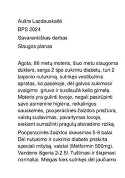 Slaugos plano sudarymo principų schema