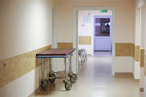 vidinis privačios palatos gimdymo namuose vaizdas