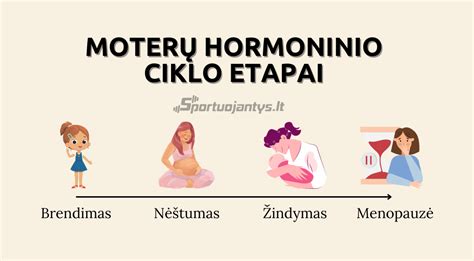 žindymas ir hormonų kaita moters organizme