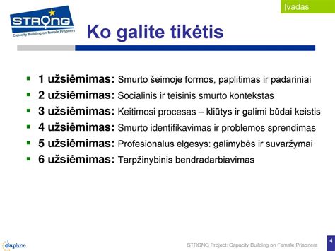 Teisinis globos ir rūpybos procesas schema