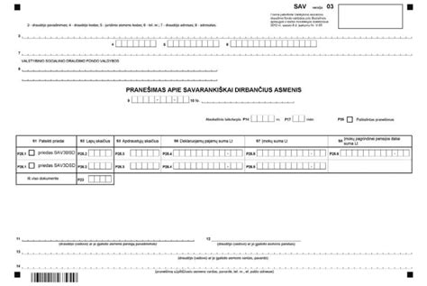 VSD įmokų ir SAV pranešimo pateikimo tvarka