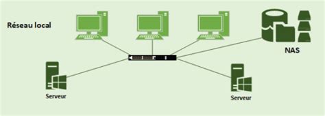 Schema: NAS pasireiškimo mechanizmai