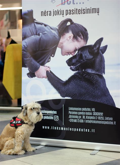 Agnė Žobovienė su gyvūnais cirko pasirodyme