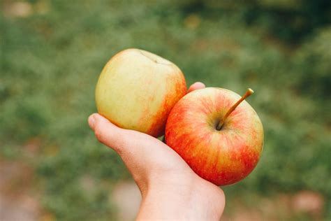 Nuotrauka: Žmonės, sportuojantys lauke ir valgantys sveikus maisto produktus