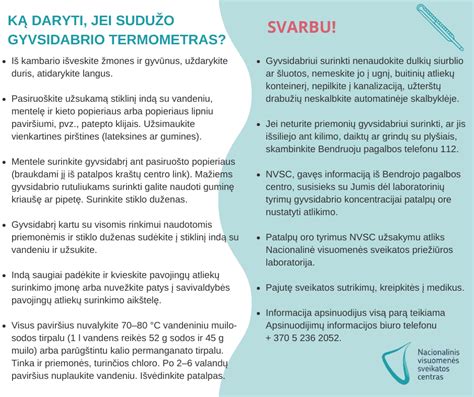 Infografika, iliustruojanti gyvsidabrio poveikį vaisiaus smegenims