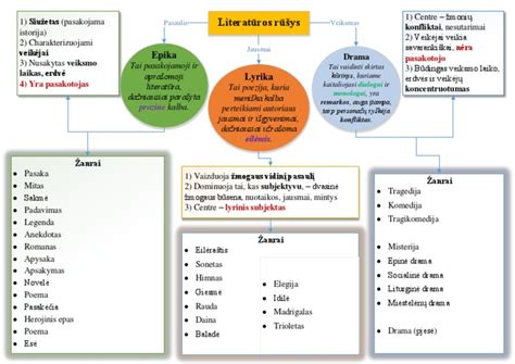 Mokslinės literatūros ir inžinerinių schemų pavyzdys