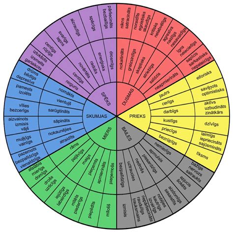 emocijų atpažinimo schema vaikams