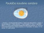 Schema paukščio kiaušinio sandara