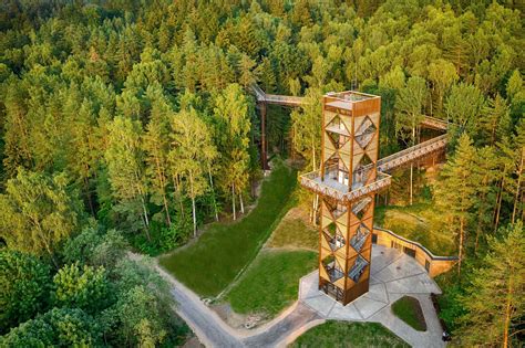 Medžių lajų takas Anykščiuose