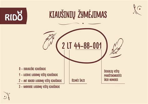 Schema kiaušinių žymėjimo