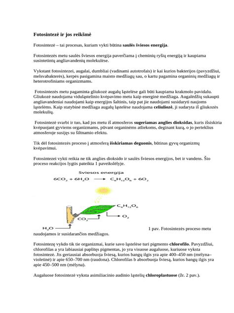 Numerologijos diagrama ir jos reikšmė