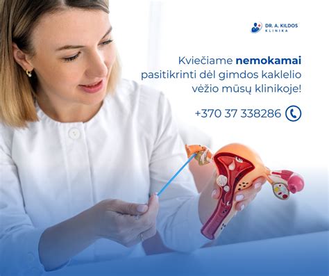 Gimdos aspiracijos procedūros schema