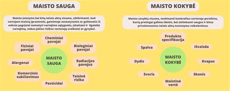 Infografika su pagrindinėmis maisto saugos rekomendacijomis nėštumo metu