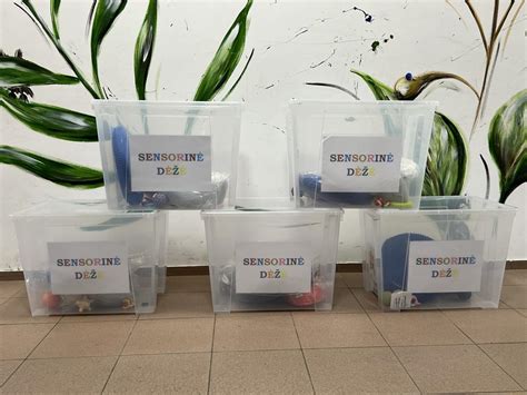 Sensorinės dėžės su paslėptais paukščiais ir raidėmis