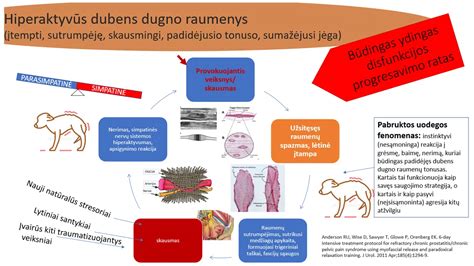 Hiperaktyvumo simptomų apžvalga