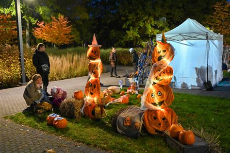 Moliūgų žibintai su LED apšvietimu