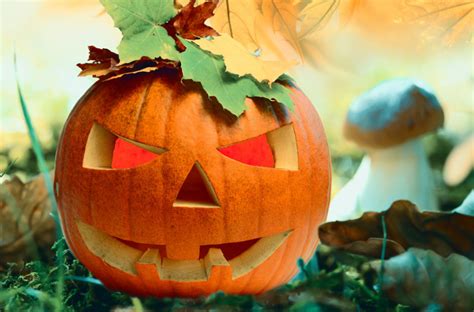 Moliūgų dekoracijos be skaptavimo