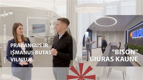 Jaunas bizonas bėgiojantis ganykloje