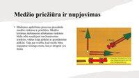 vaikiško namelio medienos apdirbimo procesas