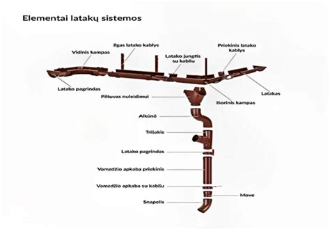 Ašarų latakų sistemos schema