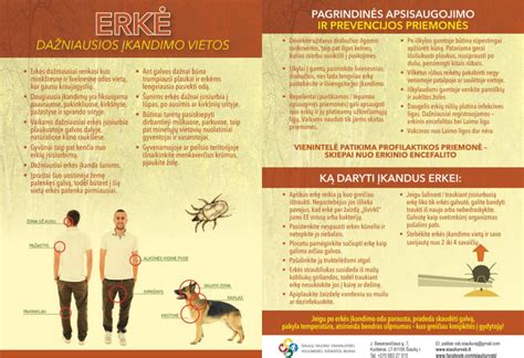 erkių apsaugos priemonių palyginimas