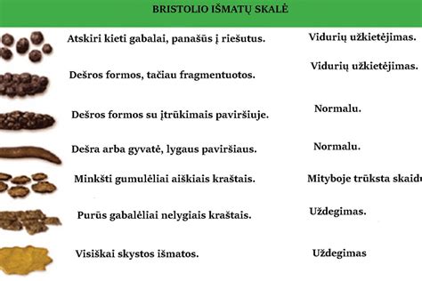 išmatų tipai pagal Bristolio skalę