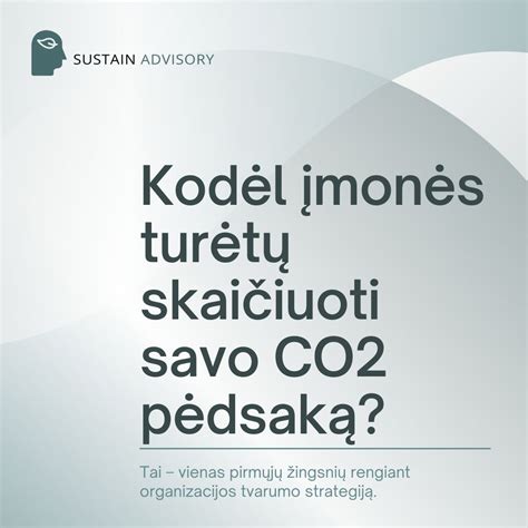 Pirmųjų žingsnių bateliai ir jų ypatybės