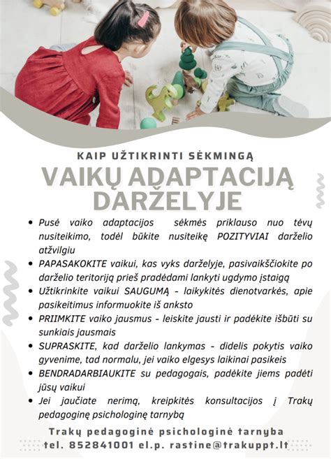Šeimynos veiklos schema ir vaikų adaptacija