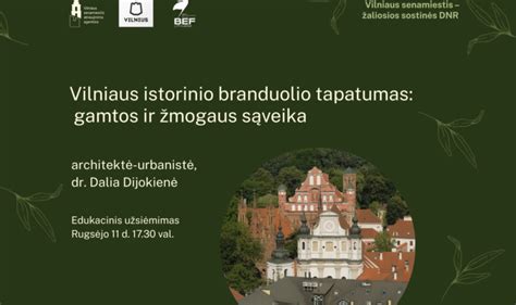 Delfino ir žmogaus sąveika