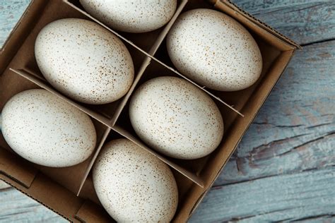 vištų kiaušinių rūšys ir dydžiai