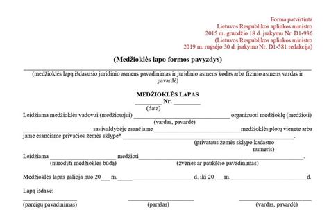 Europos standartinio informacijos lapo pavyzdys