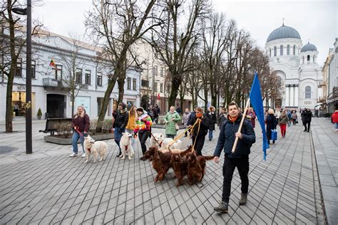 Šventinė eisena su augintiniais parke