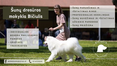 Šunų dresūros pasirodymas lauke