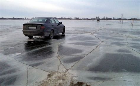Žmonės lesina žiemojančius vandens paukščius ant ledo